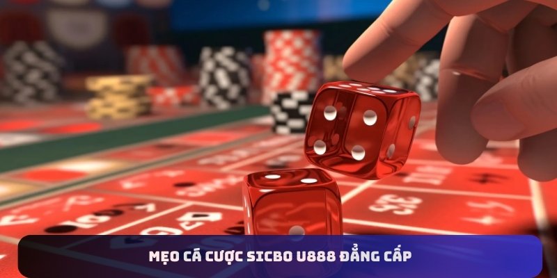 Mẹo cá cược Sicbo U888 đẳng cấp