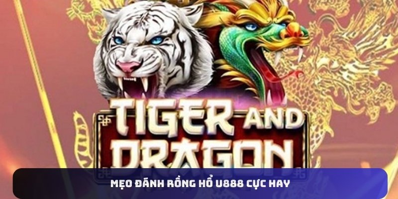 Mẹo đánh rồng hổ U888 cực hay