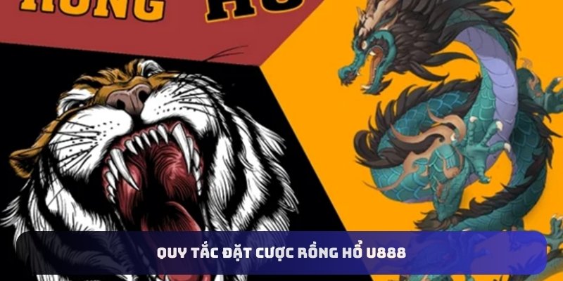 Quy tắc đặt cược rồng hổ U888