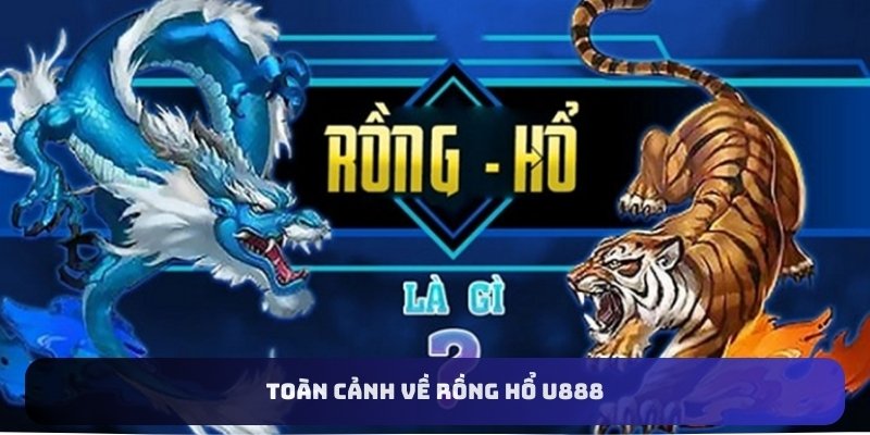 Toàn cảnh về rồng hổ U888