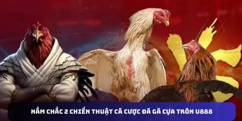 Nắm chắc 2 chiến thuật cá cược đá gà cựa tròn U888