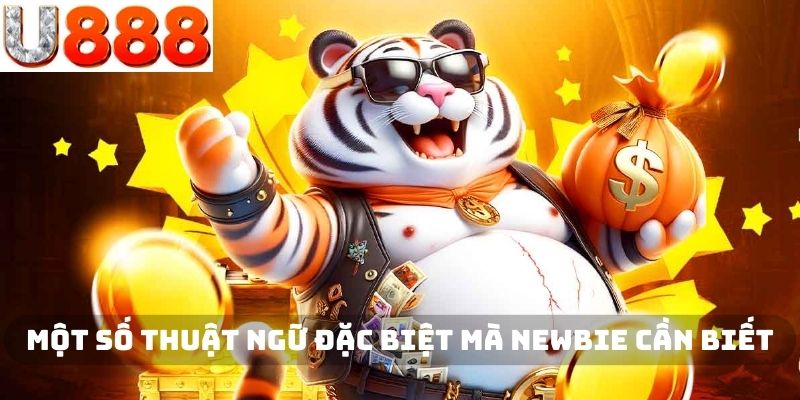 Một số thuật ngữ nổ hũ thuỷ cung U888 đặc biệt cần biết
